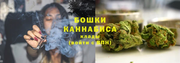 гидропоника Карпинск