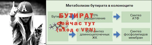 гидропоника Карпинск